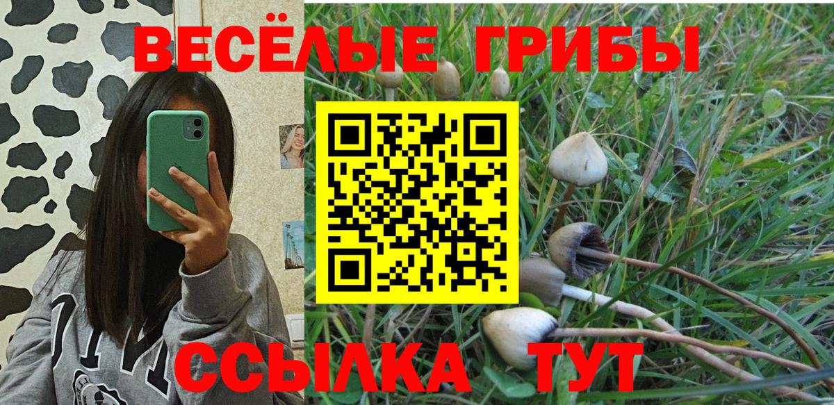 Галлюциногенные грибы Cubensis  Вход с VPN  Иркутск 