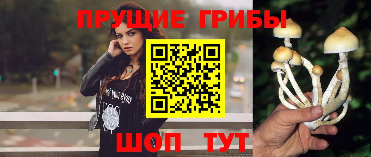 Псилоцибиновые грибы прущие грибы Иркутск